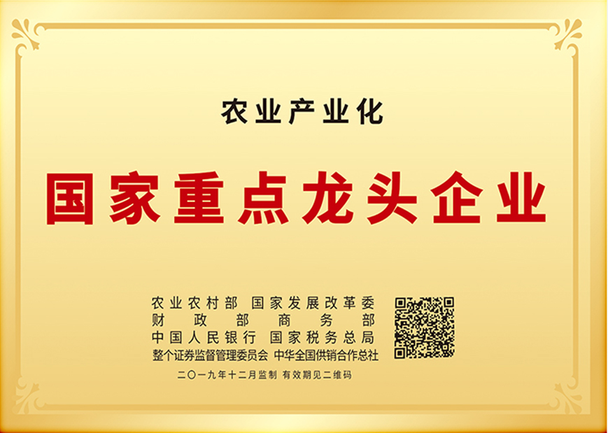 企业荣誉
