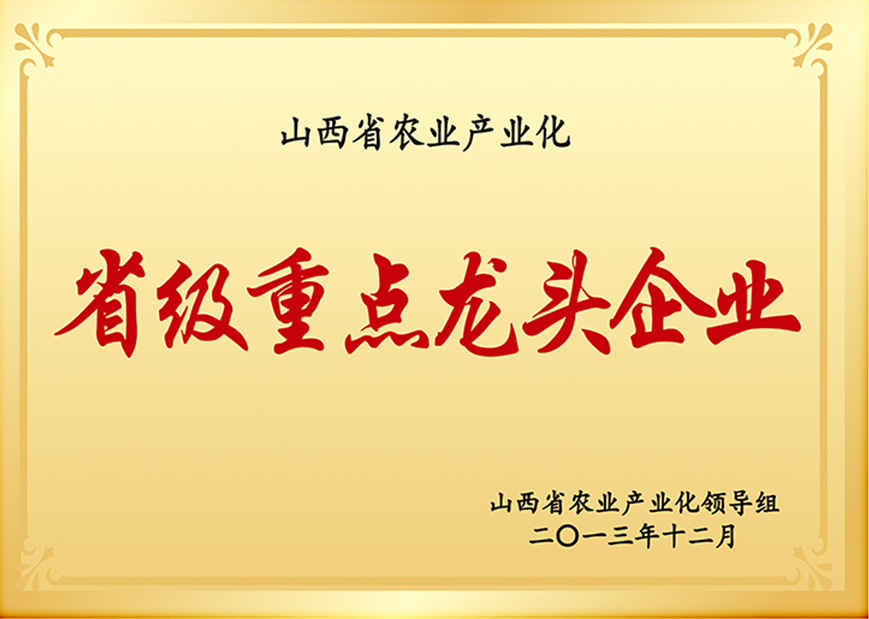 企业荣誉